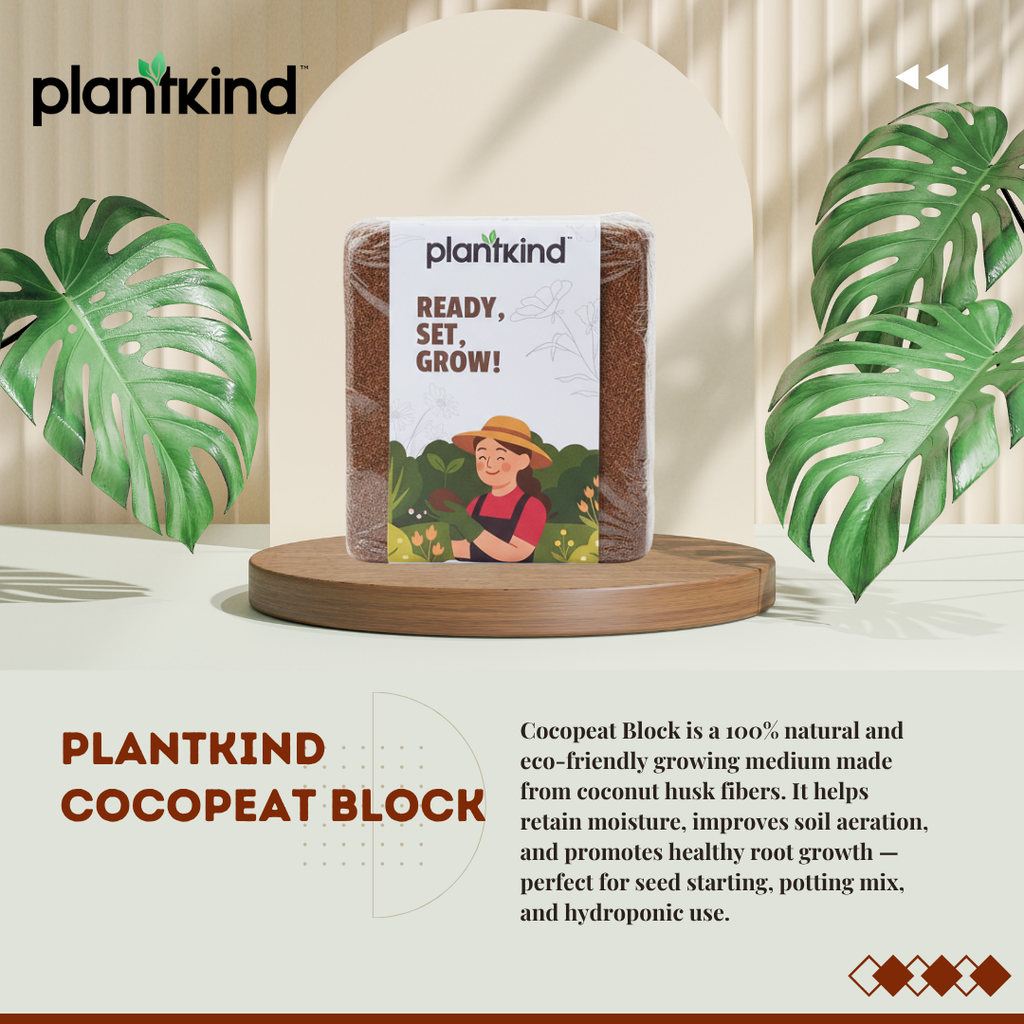 Plantkind Cocopeat Block for Plants | Compressed Coconut Coir  | Enhances Soil Texture and Moisture Retention Naturally | 1 Kg | 2Kg