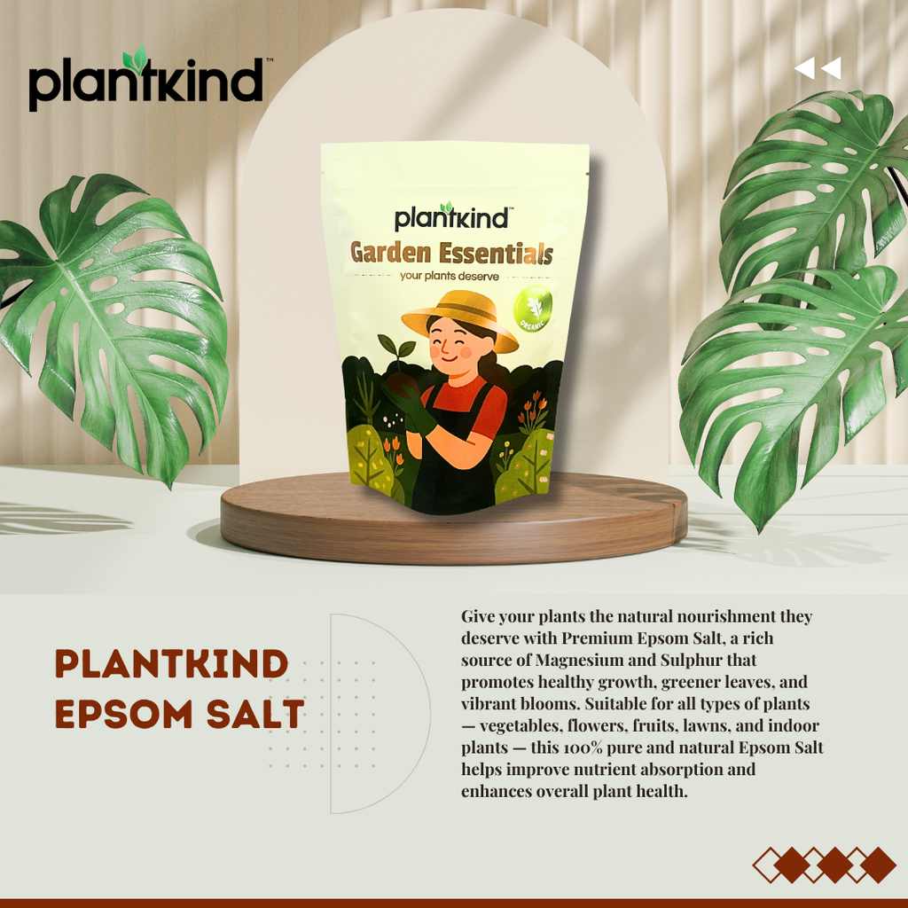 Plantkind Epsom Salt | Natural Magnesium Sulphate Crystals for Garden Soil | Ideal for Flower Pots, Vegetable Beds & Indoor Plants | Supports Healthy Soil Structure