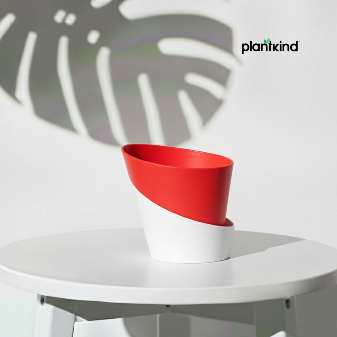 Plantkind Luxury Self Watering Plastic Pot | Gardening Pots | Pack of 1