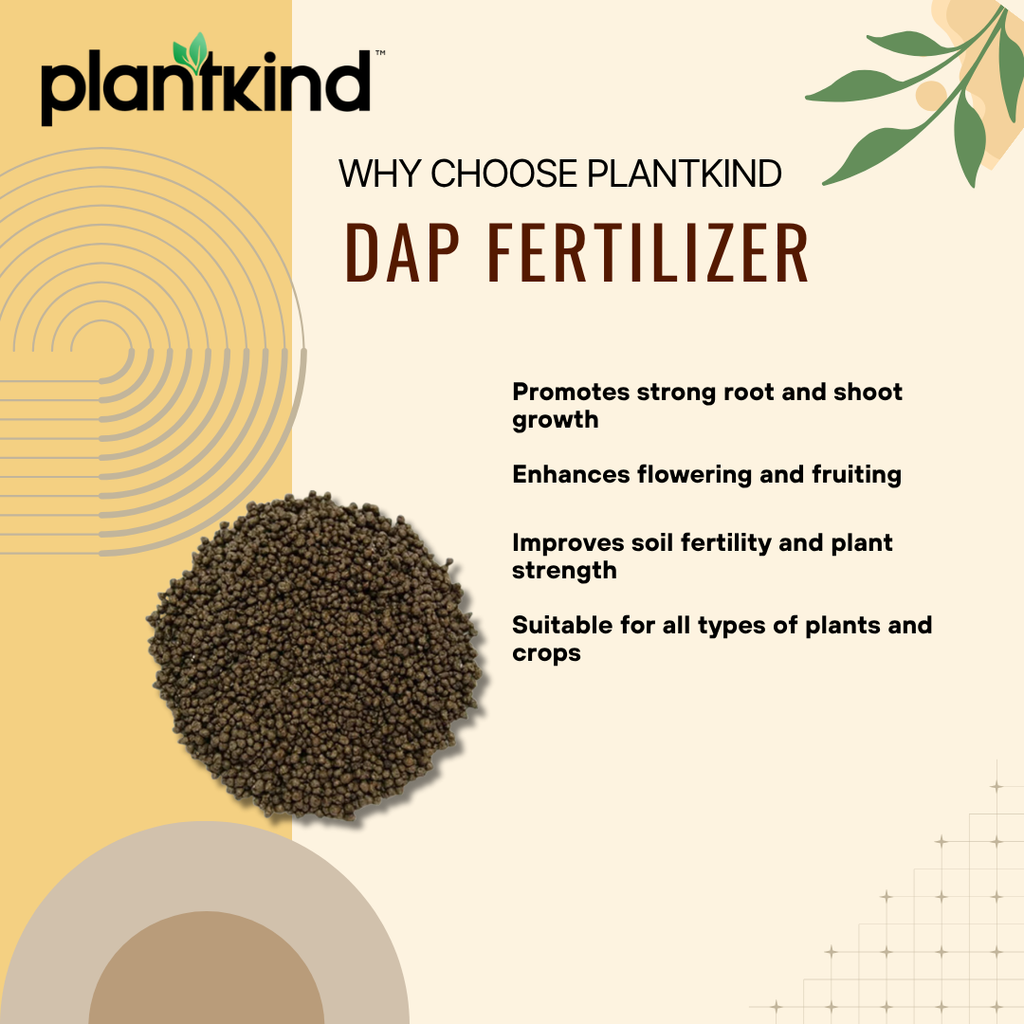 Plantkind DAP Fertilizer | Diammonium Phosphate Granular Fertilizer for Garden Use | Suitable for Vegetable Gardens, Lawns & Pots | Supports Soil Enrichment| 500 Gm