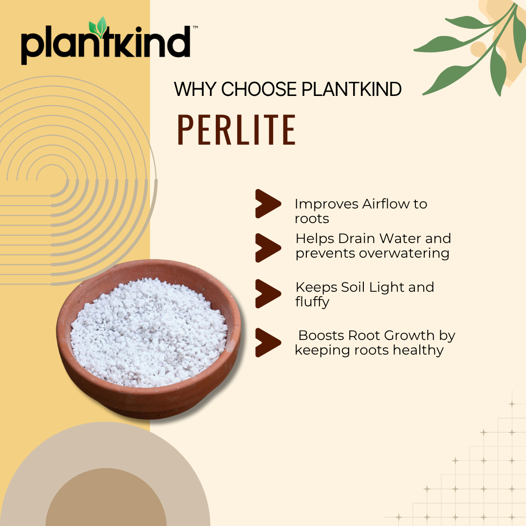 PLANTKIND Perlite | Potting Mixture | Pack Of 1 | 250g