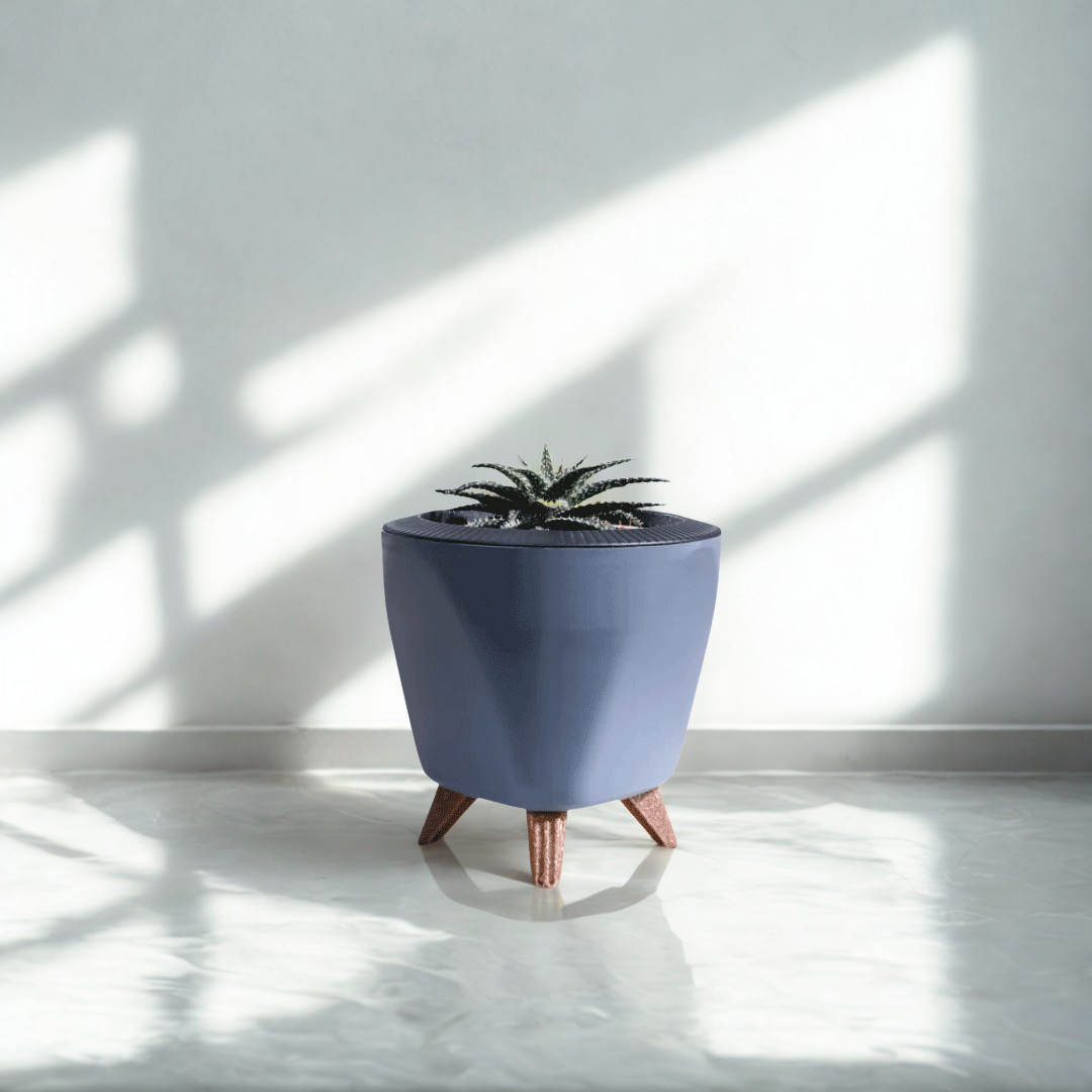Aloe Pepe | Succulent Plant | Indoor Plant | Pack Of 1