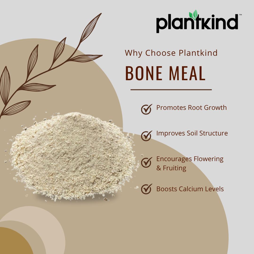 PLANTKIND Bone Meal | Organic Fertilizer | Pack Of 1 | 500g