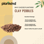 PLANTKIND Clay Pebbles | Soil Mix | Pack of 1 | 500g