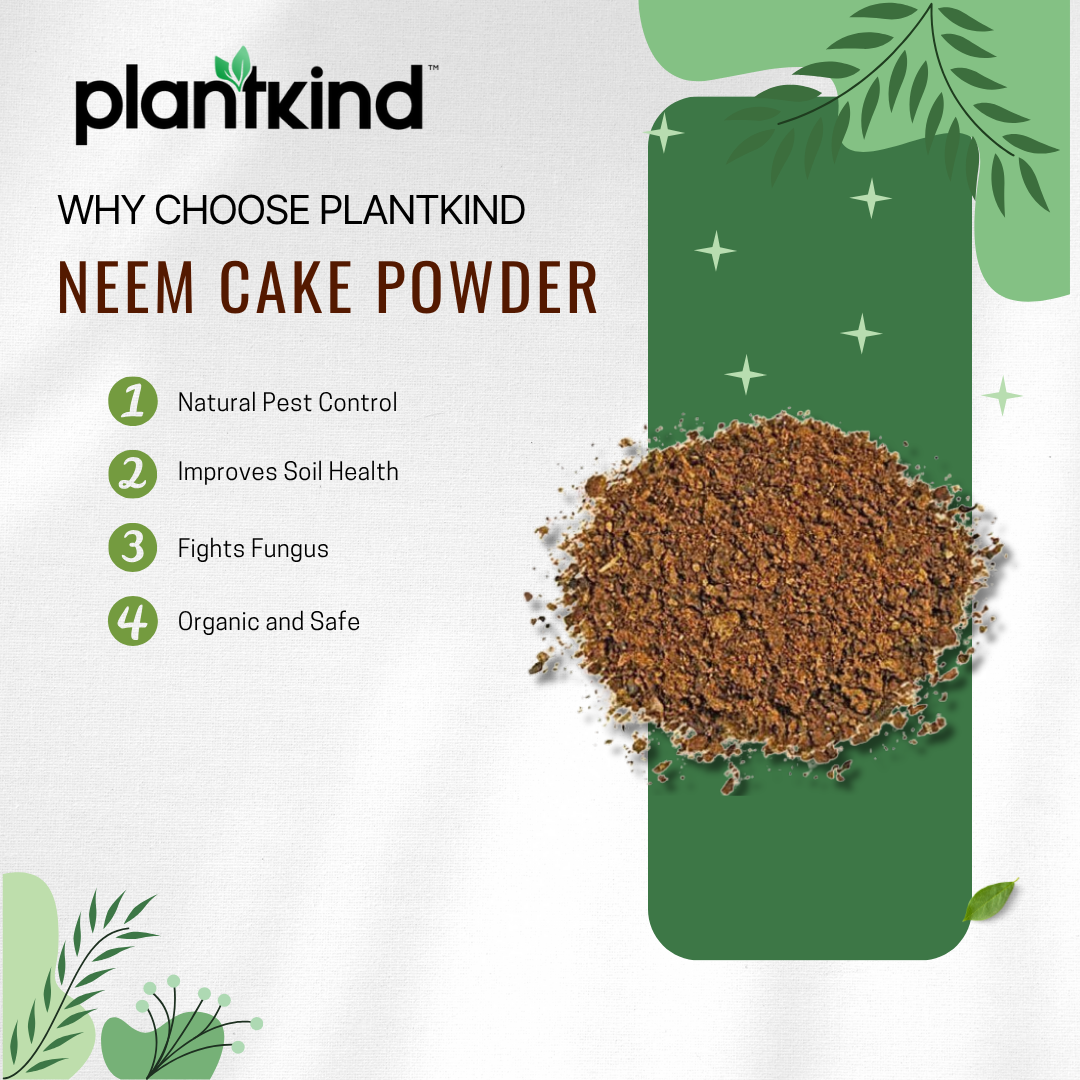 PLANTKIND  Neem cake powder | Organic Fertilizer | Pack of 1 | 1kg