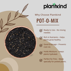 PLANTKIND Pot-O-Mix 1 KG | Potting Mix | Pack of 1