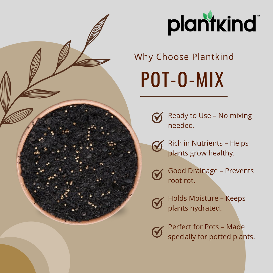 PLANTKIND Pot-O-Mix 1 KG | Potting Mix | Pack of 1