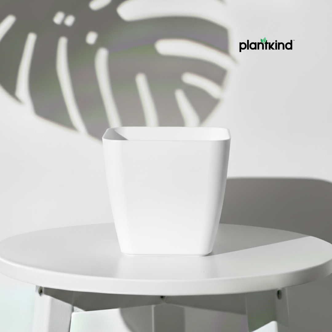 Plantkind Decor Plastic Pots 5 Inch | Gardening Pot | Pack Of 1