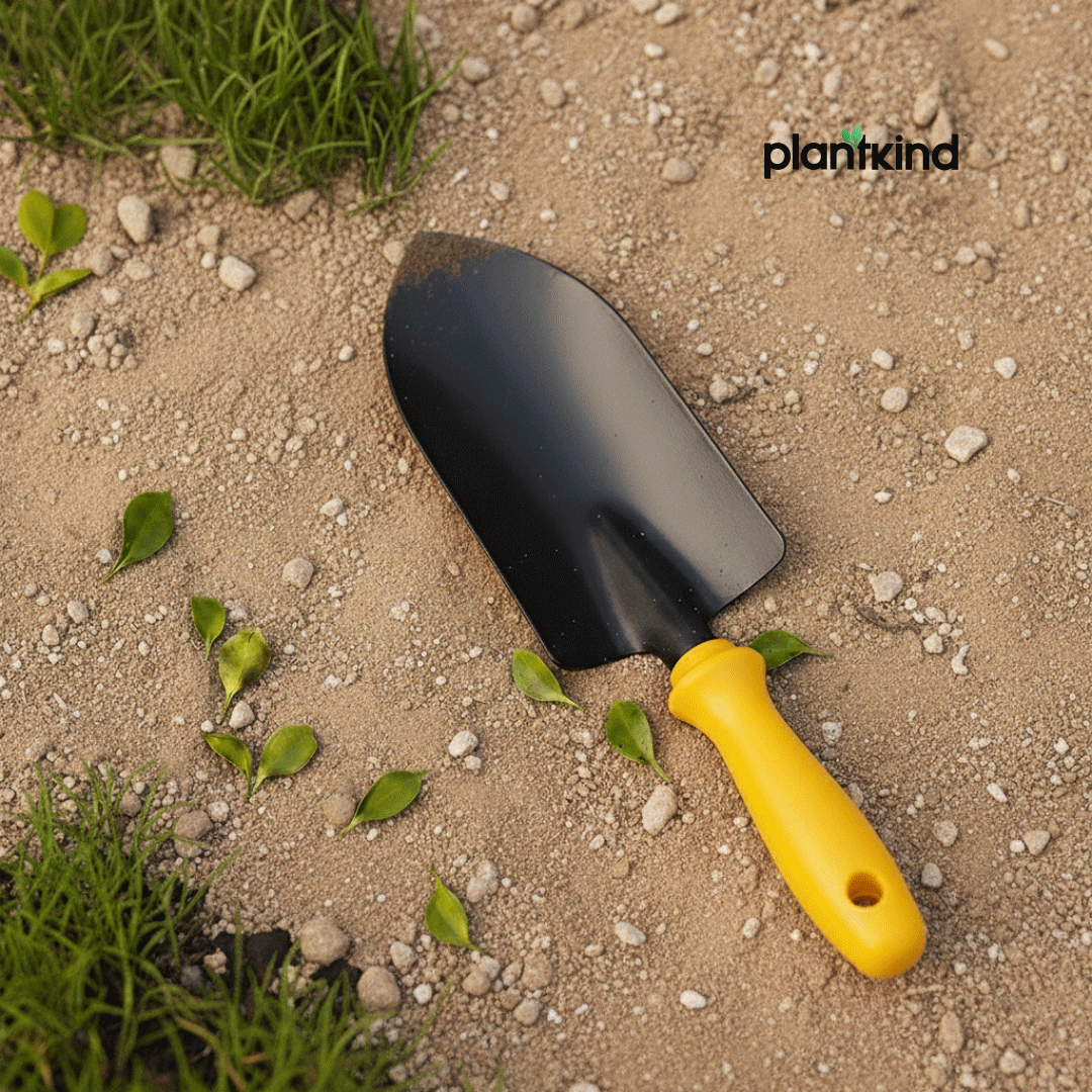 Trowel with PVC Handle | 1pc