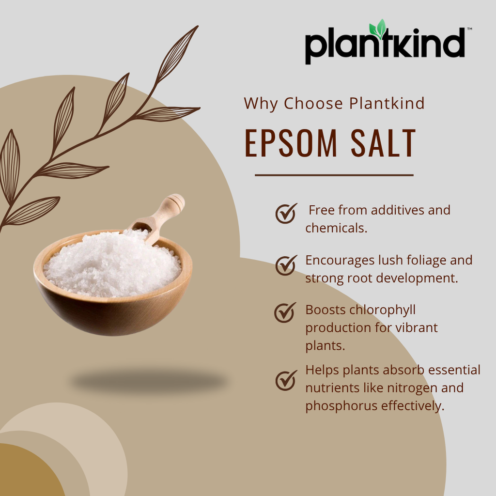 Plantkind Epsom Salt | Natural Magnesium Sulphate Crystals for Garden Soil | Ideal for Flower Pots, Vegetable Beds & Indoor Plants | Supports Healthy Soil Structure