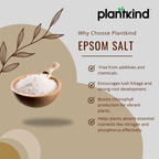 Plantkind Epsom Salt | Natural Magnesium Sulphate Crystals for Garden Soil | Ideal for Flower Pots, Vegetable Beds & Indoor Plants | Supports Healthy Soil Structure