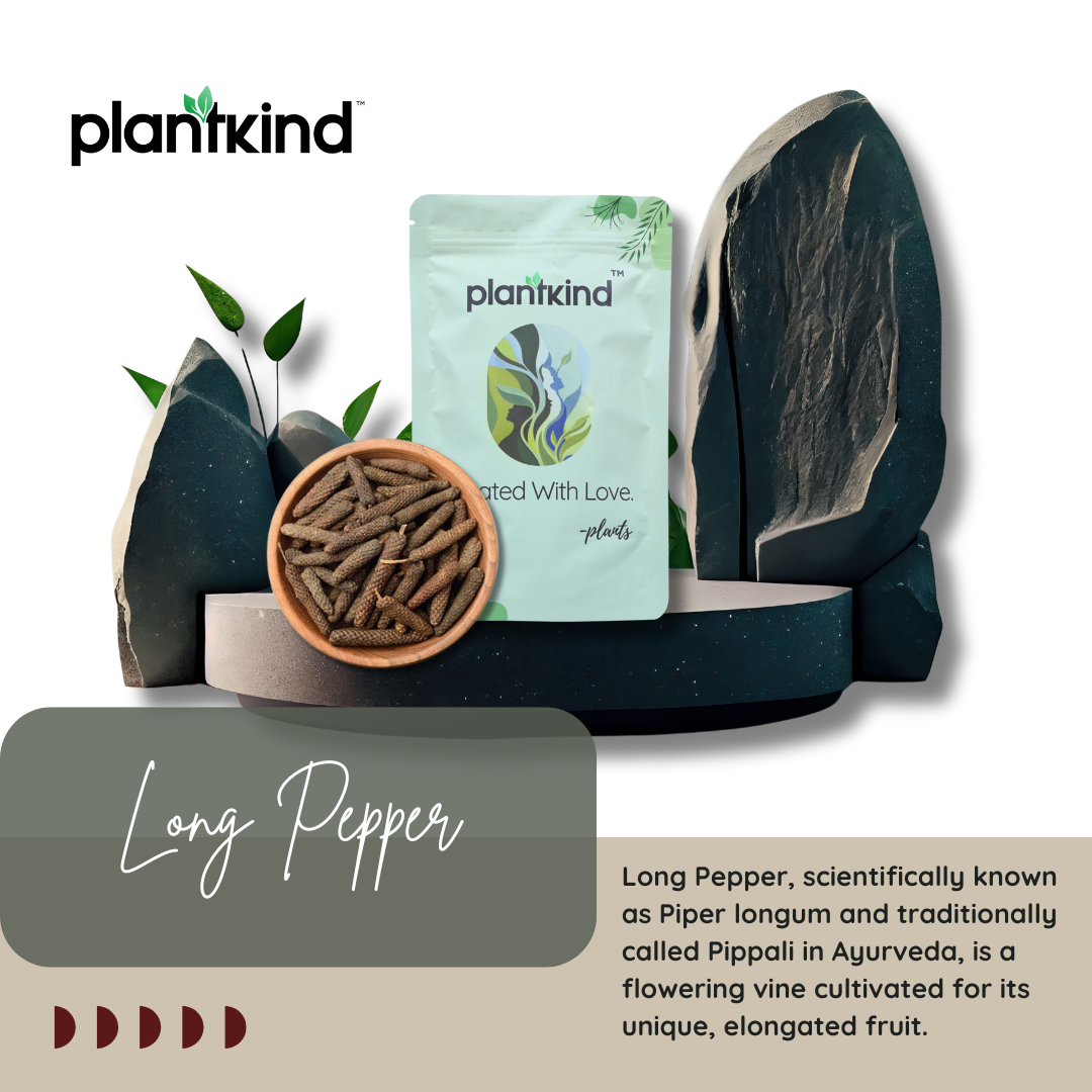 Pippali | Piper longum | Natural Herb | Pack of 1 | 100g