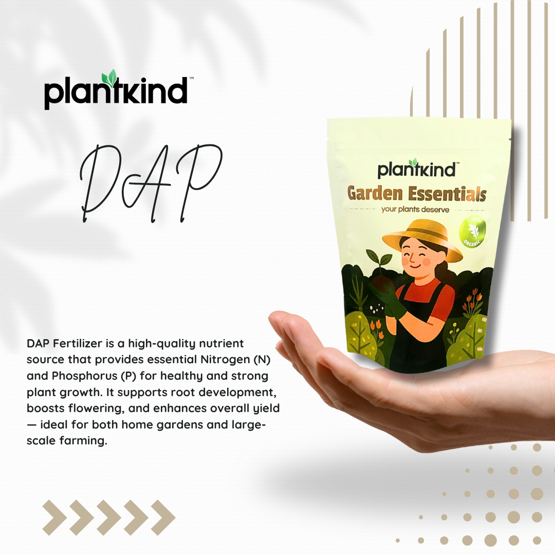 Plantkind DAP Fertilizer | Diammonium Phosphate Granular Fertilizer for Garden Use | Suitable for Vegetable Gardens, Lawns & Pots | Supports Soil Enrichment| 500 Gm