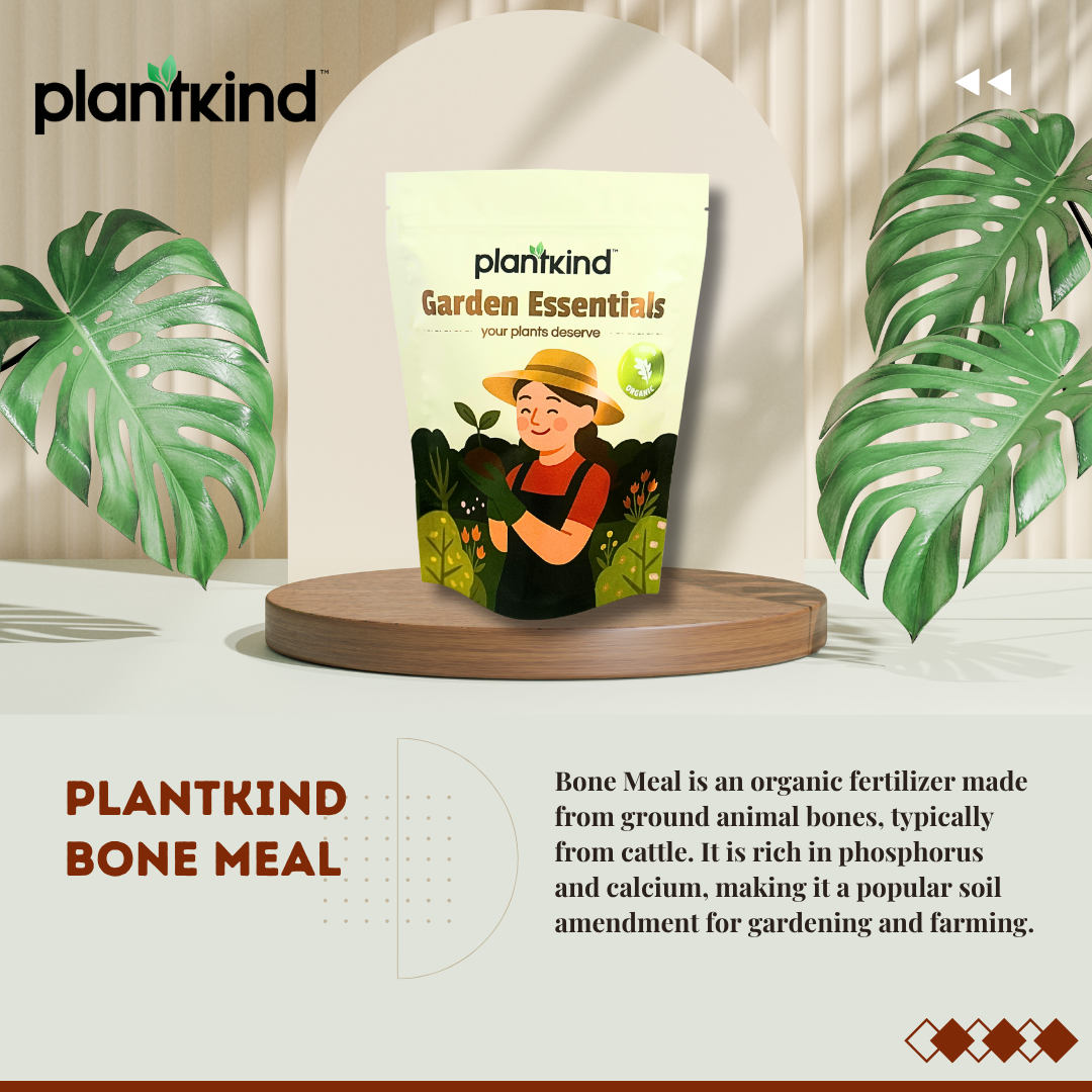 PLANTKIND Bone Meal | Organic Fertilizer | Pack Of 1 | 500g
