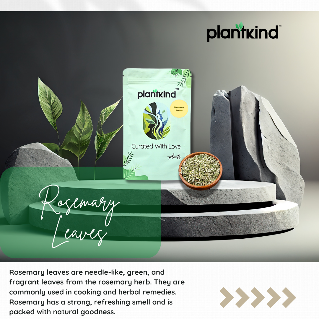 Rosemary Leaves | Dried Leaves | Herbal Product | Pack of 1 | 100g