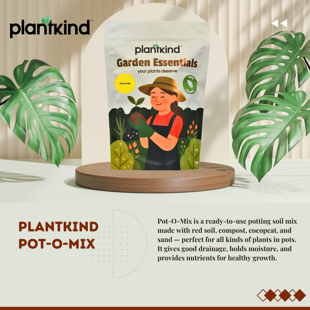 PLANTKIND Pot-O-Mix 1 KG | Potting Mix | Pack of 1