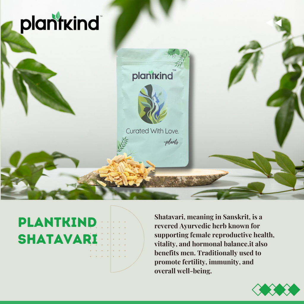 Shatavari Root Dry | Asparagus racemosus | Natural Herb | Pack of 1 | 150g