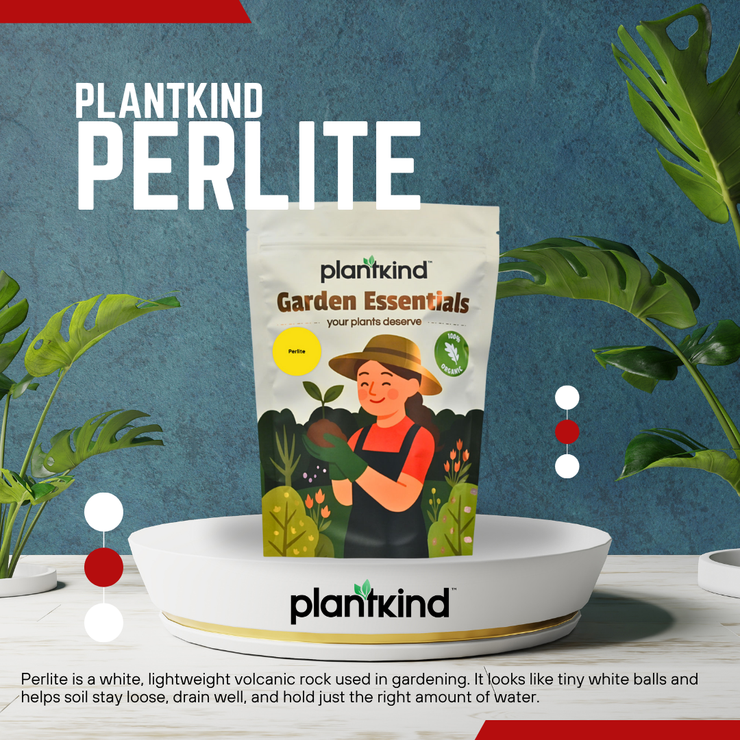 PLANTKIND Perlite | Potting Mixture | Pack Of 1 | 250g