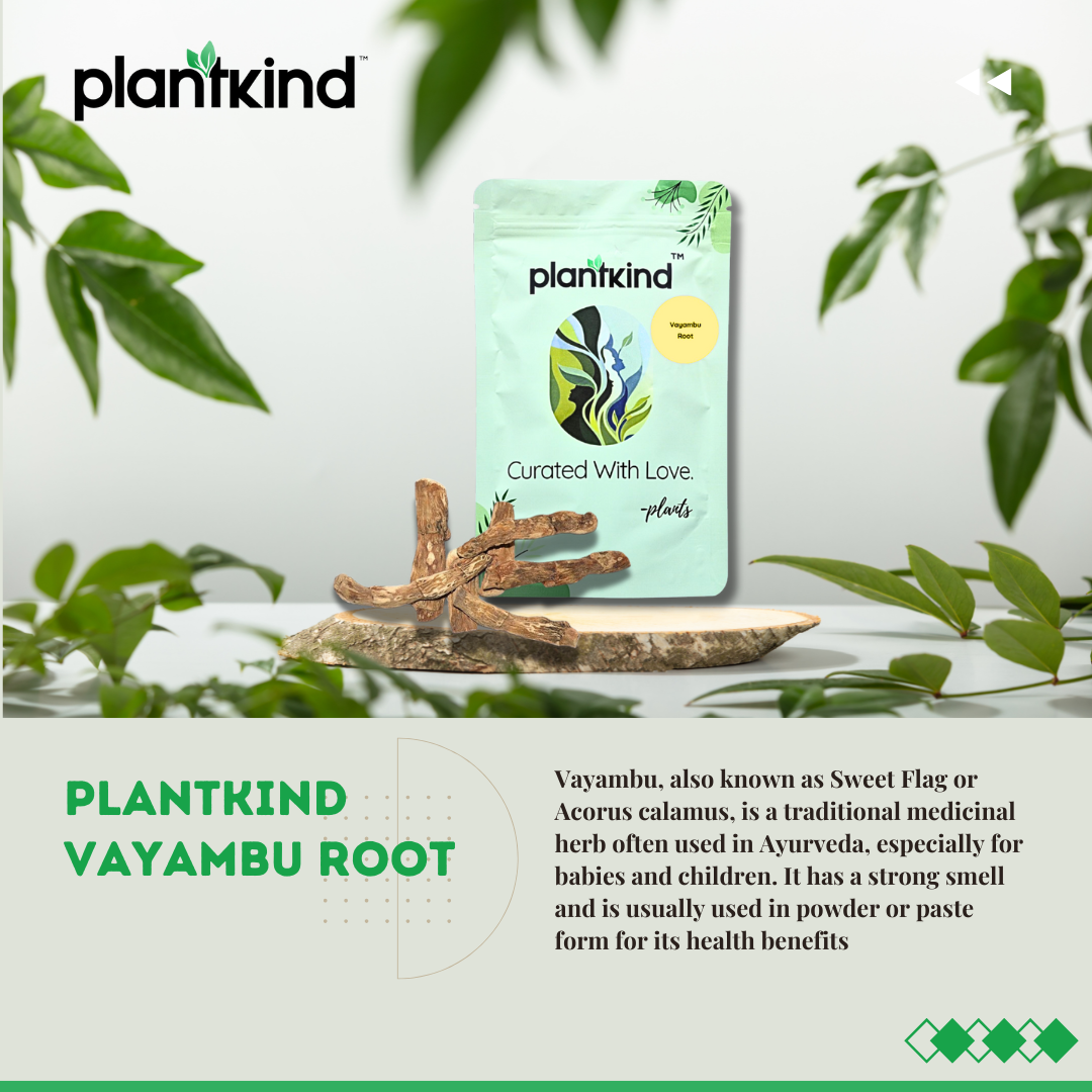 Vayambu Root | Herbal Root | Natural Ingredient | Pack of 1 | 100g