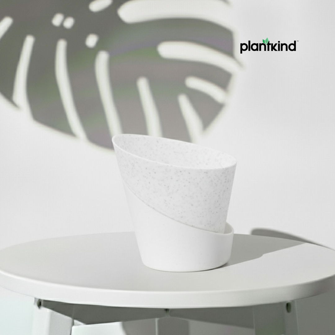 Plantkind Luxury Self Watering Plastic Pot | Gardening Pots | Pack of 1
