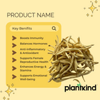 Shatavari Root Dry | Asparagus racemosus | Natural Herb | Pack of 1 | 150g