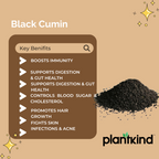Black Cumin Seeds | Kalonji | Natural Spice | Pack of 1 | 100g