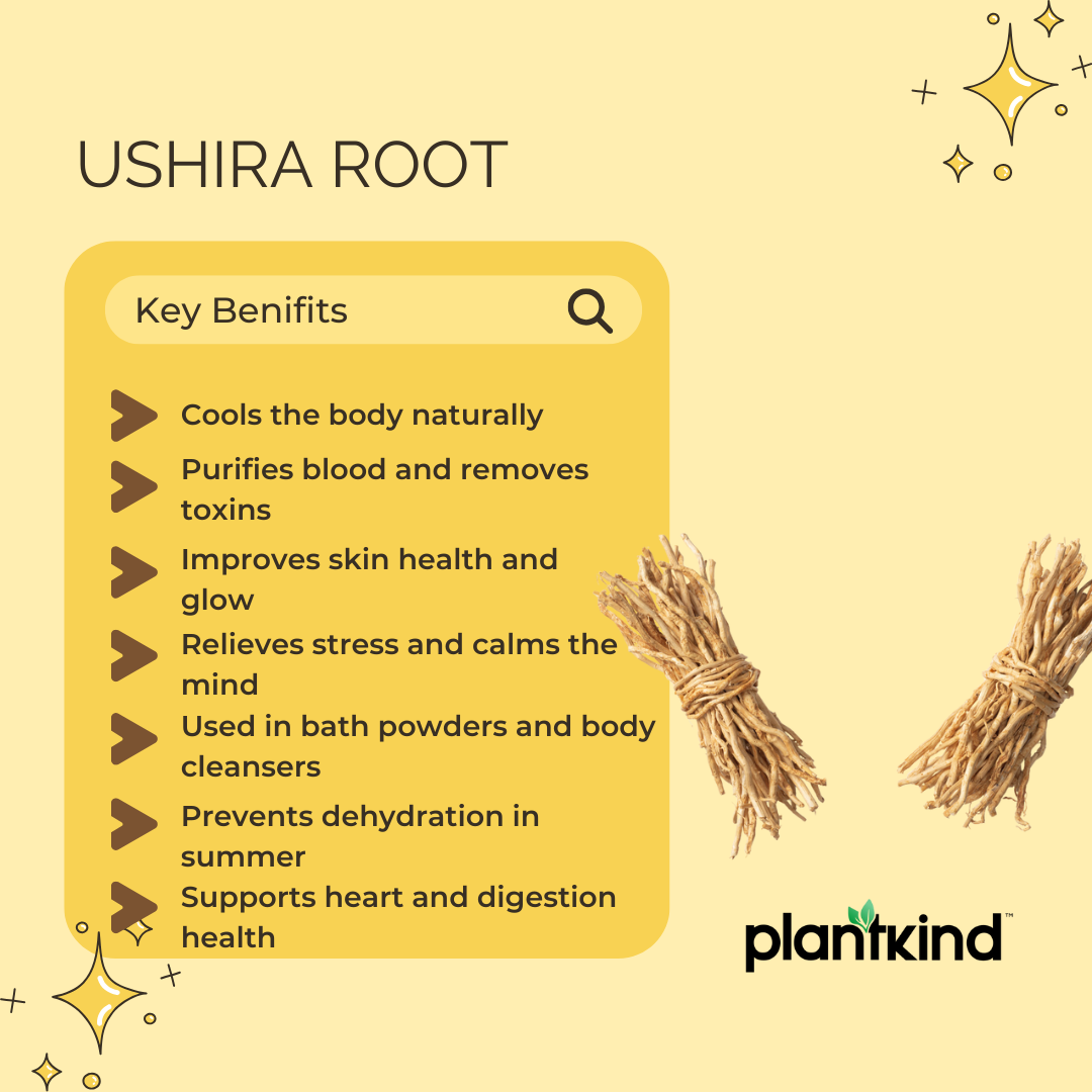 Ushira Root | Vetiver Root | Ramacham Root | Medicinal Herb | Pack of 1 | 50g