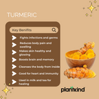 Turmeric Powder| Organic Turmeric | Natural Turmeric | Pack of 1 | 100g