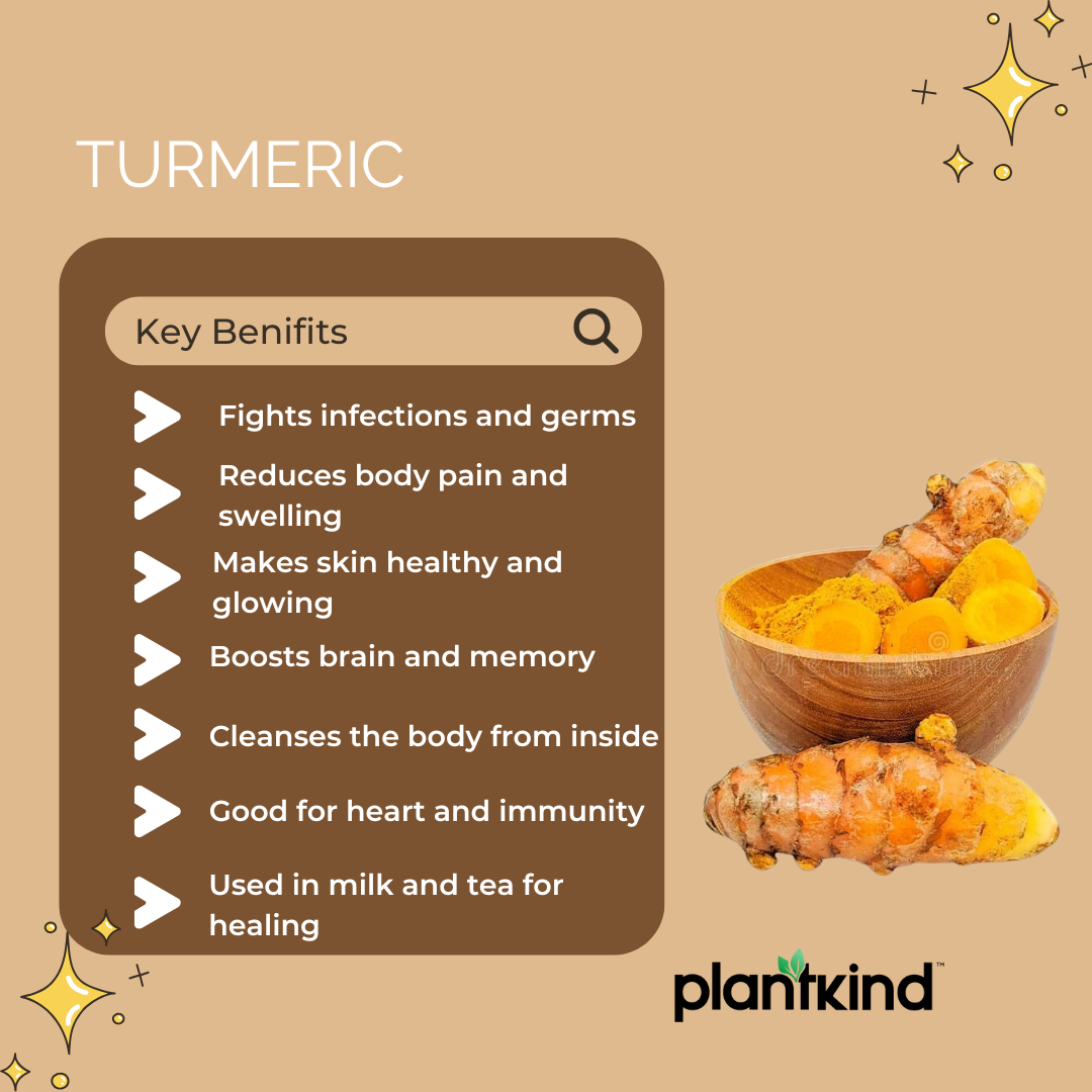 Turmeric Powder| Organic Turmeric | Natural Turmeric | Pack of 1 | 100g