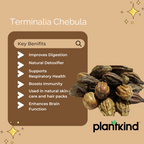Harad | Terminalia Chebula | Natural Herb | Pack of 1 | 100g