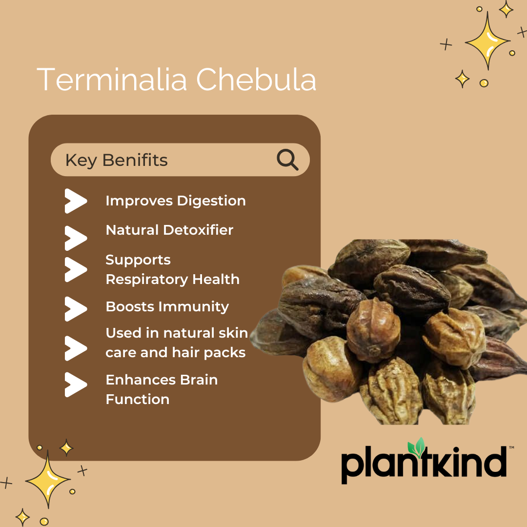 Harad | Terminalia Chebula | Natural Herb | Pack of 1 | 100g