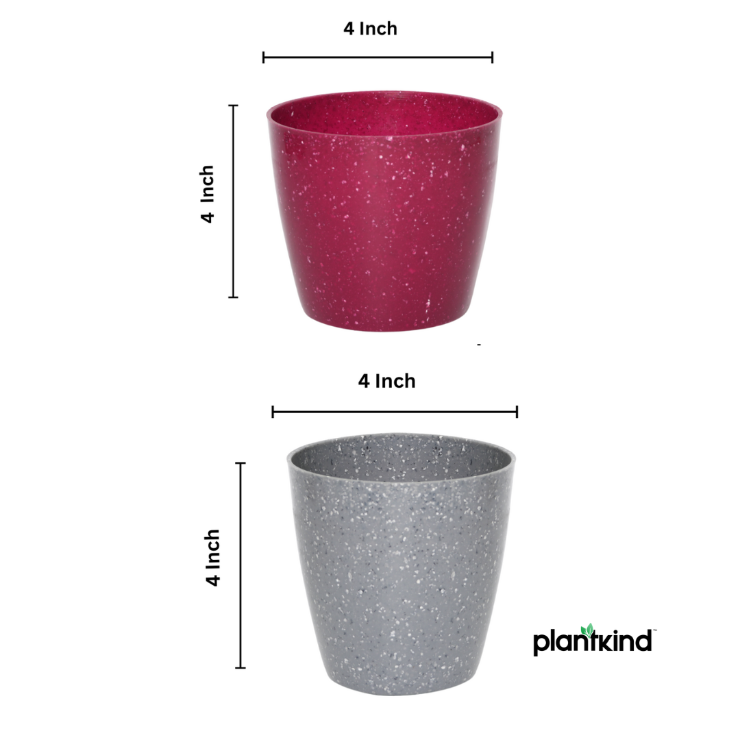 Plantkind Divinity Plastic 4 inch Pot | Plastic Pot | Pack Of 1
