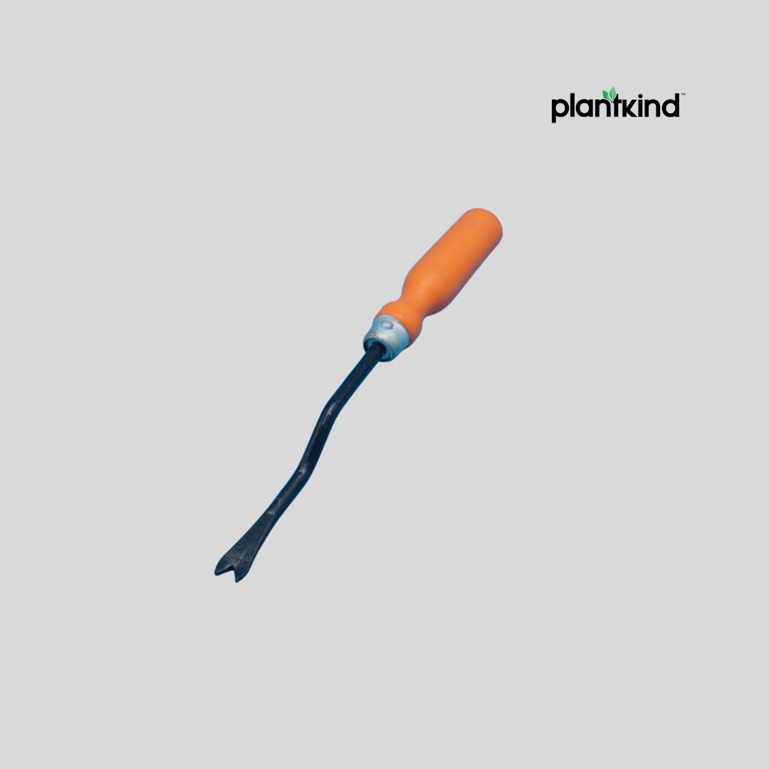 Plantkind Single Prong Weeder With  Handle 1 Pc | Gardening Tools | Pack of 1