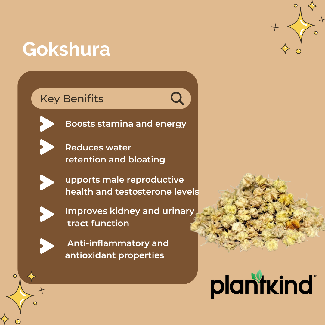 Gokshura | Tribulus terrestris | Natural Herb | Pack of 1 | 100g