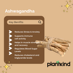 Ashwagandha Roots |Herbal Product | Ayurvedic Product | Pack Of 1 | 150g