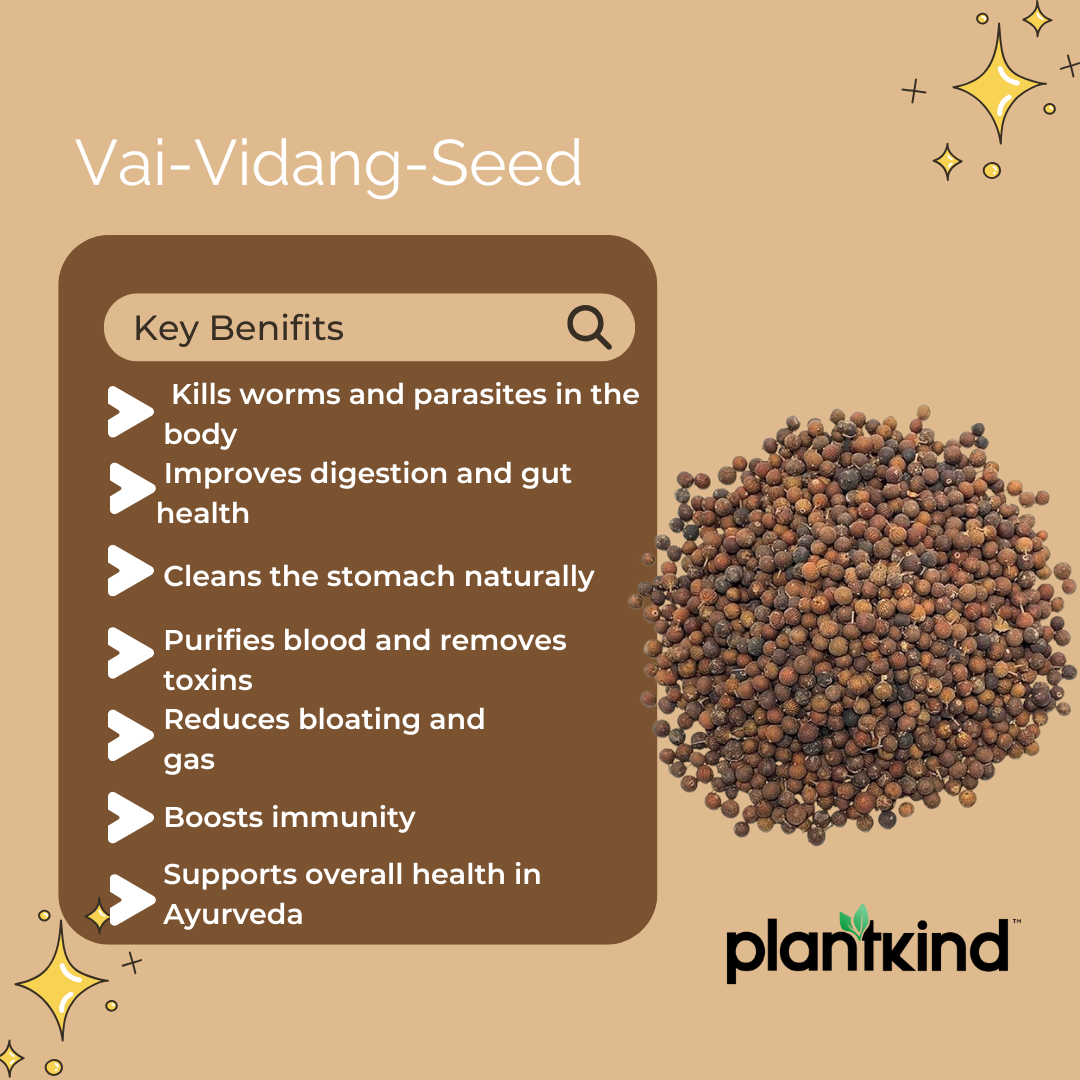 Vai-Vidang-Seed | Embelia Ribes | Natural Product | Pack Of 1 | 150g