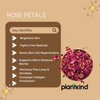 Rose Petals | Dried Rose Petals | Pack of 1 | 50g