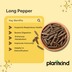 Pippali | Piper longum | Natural Herb | Pack of 1 | 100g