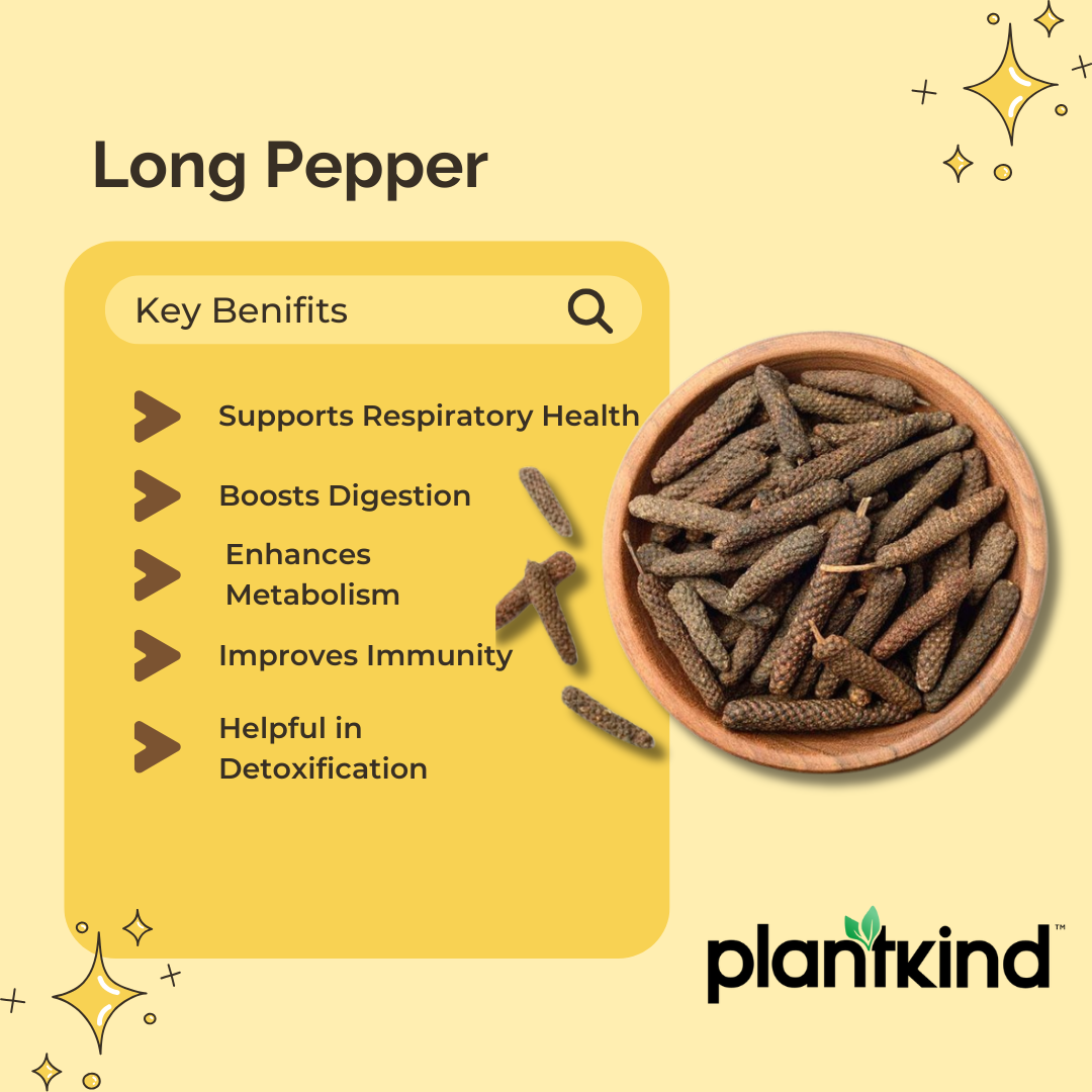 Pippali | Piper longum | Natural Herb | Pack of 1 | 100g