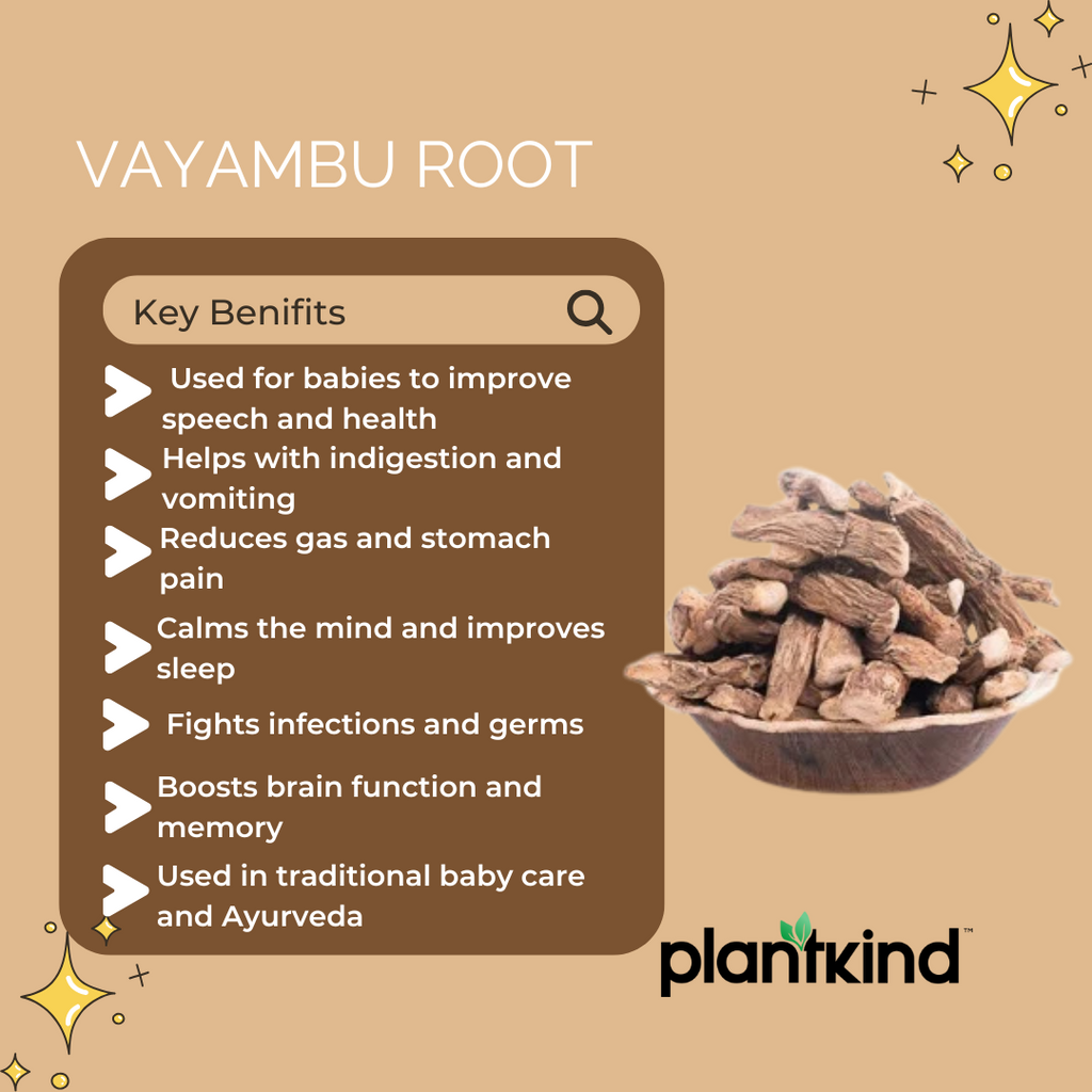 Vayambu Root | Herbal Root | Natural Ingredient | Pack of 1 | 100g