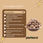 Vayambu Root | Herbal Root | Natural Ingredient | Pack of 1 | 100g