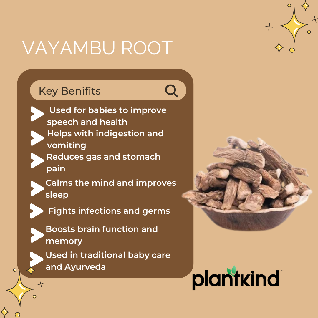 Vayambu Root | Herbal Root | Natural Ingredient | Pack of 1 | 100g