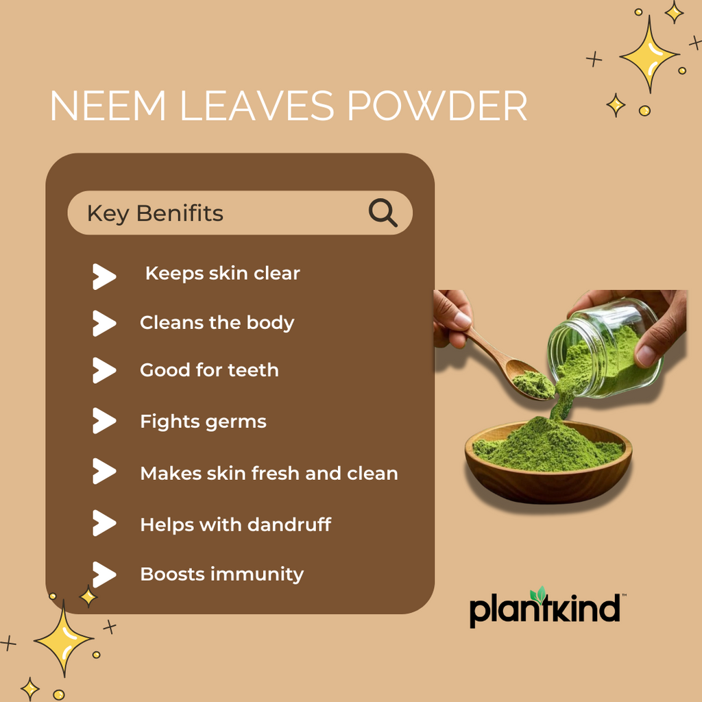 Neem Leaves Powder | Organic Product | Pack of 1 | 100g