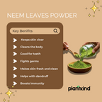 Neem Leaves Powder | Organic Product | Pack of 1 | 100g