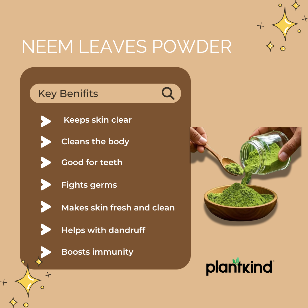 Neem Leaves Powder | Organic Product | Pack of 1 | 100g
