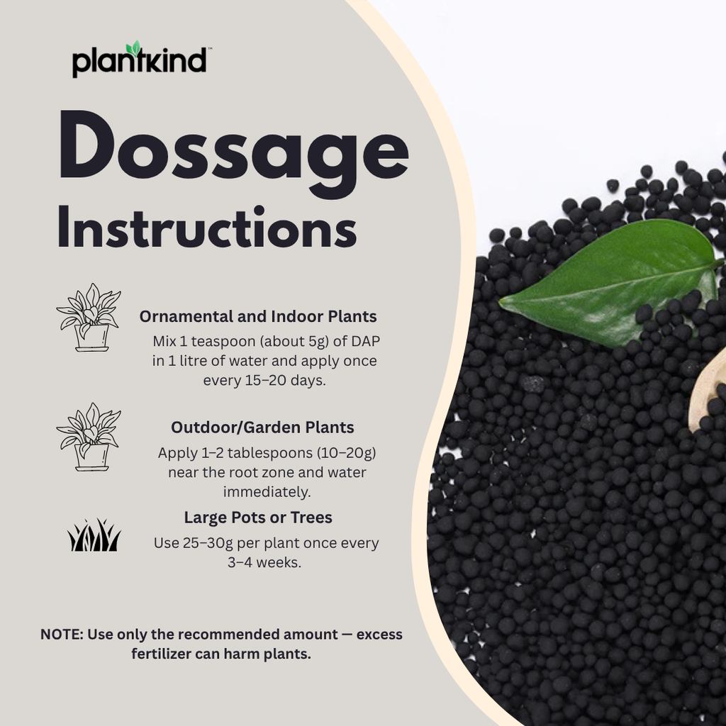 Plantkind DAP Fertilizer | Diammonium Phosphate Granular Fertilizer for Garden Use | Suitable for Vegetable Gardens, Lawns & Pots | Supports Soil Enrichment| 500 Gm