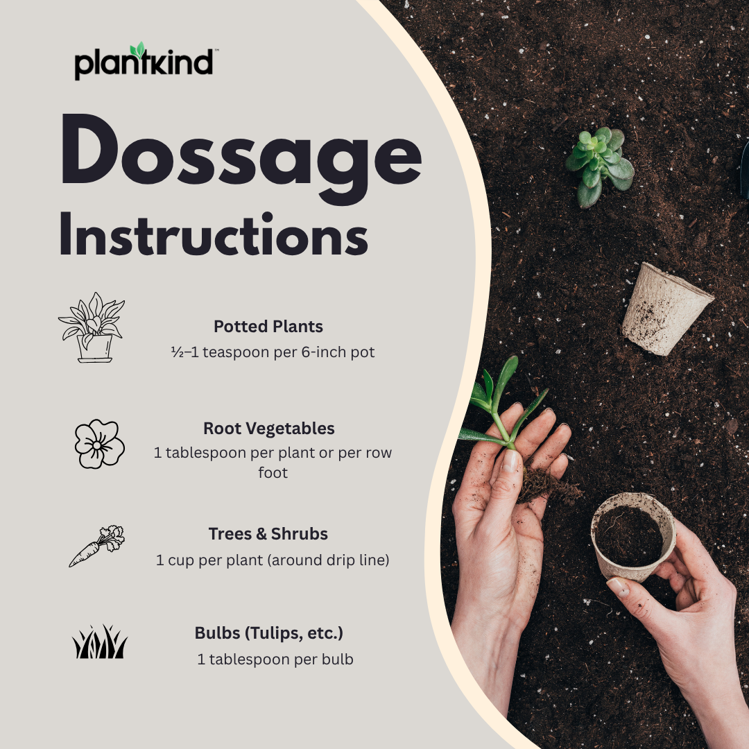 PLANTKIND Bone Meal | Organic Fertilizer | Pack Of 1 | 500g