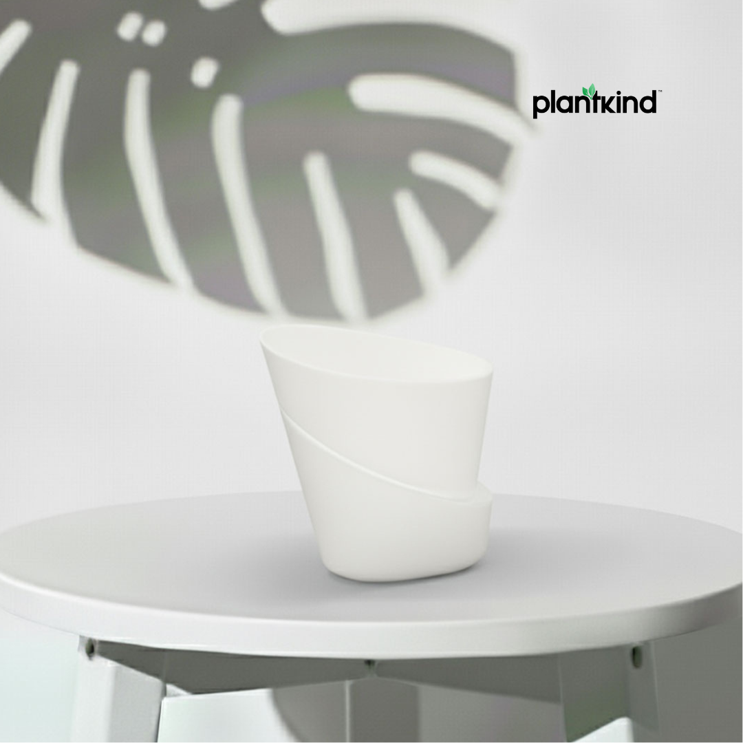 Plantkind Luxury Self Watering Plastic Pot | Gardening Pots | Pack of 1
