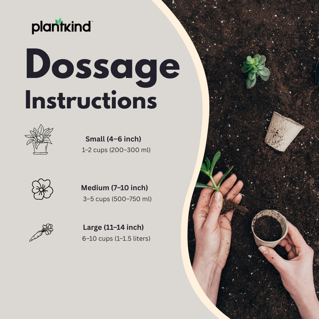 PLANTKIND Cocopeat | Potting Mixture | Pack Of 1 | 500g