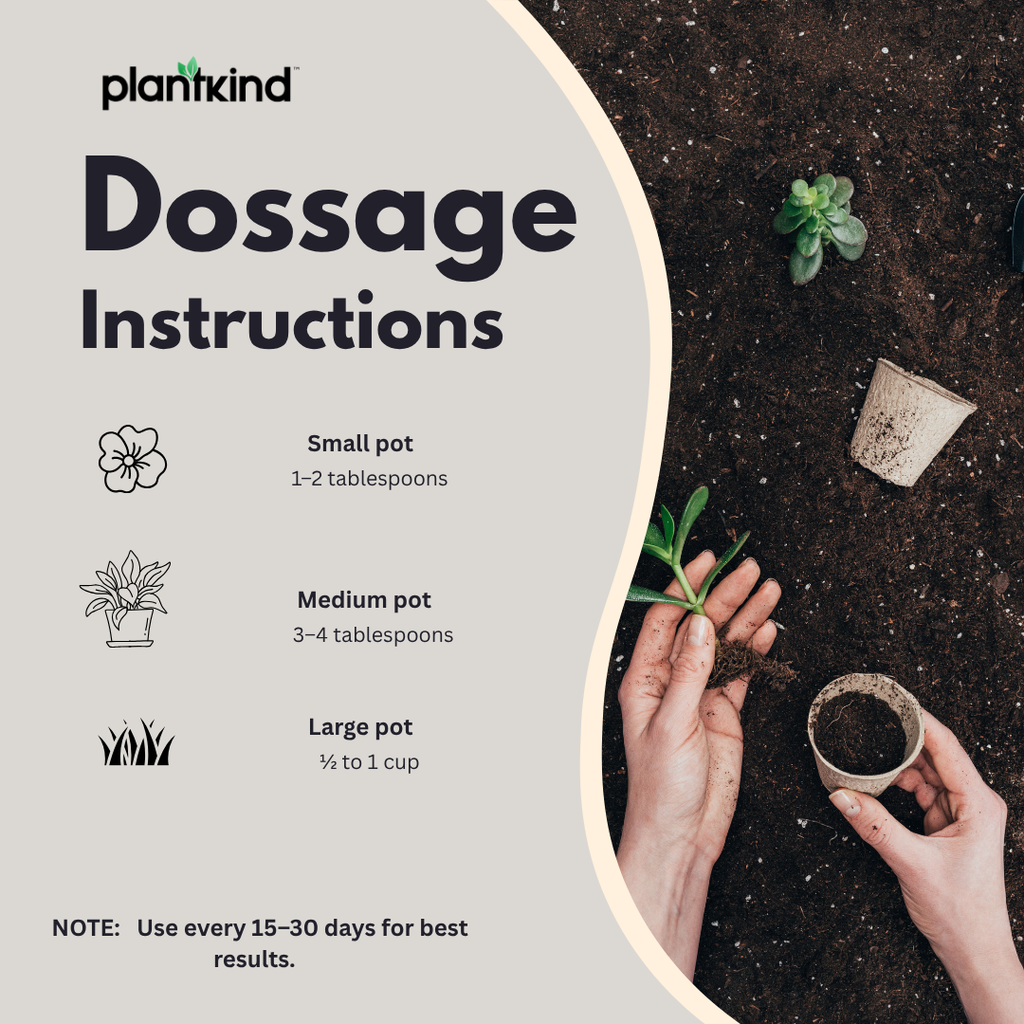 PLANTKIND Vermicompost for Plants  Organic Manure Fertilizer (Powder) | Organic | Zero Chemical | Pack of 1